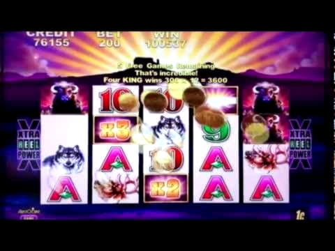 50% Matchbonus im Fruity Casa Casino
